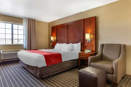 Comfort Suites Delavan - Lake Geneva Area Отели в г. Элкхорн