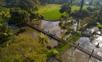 Tanah Gajah, a Resort by Hadiprana