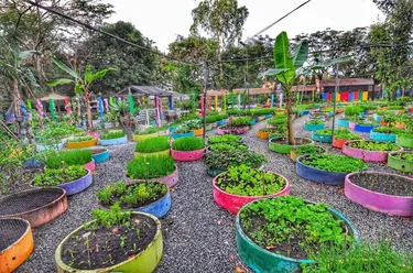 รูปภาพของเบิร์ดแอนด์บี รีสอร์ท