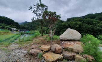Chungju under the Sky Forest Pension