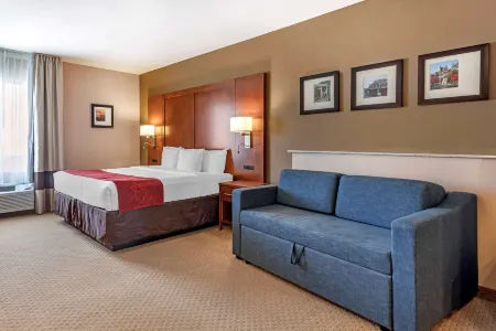 Comfort Suites Florence Shoals Area Отели в г. Флоренс