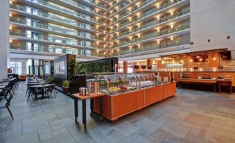 Embassy Suites by Hilton Chicago Downtown Magnificent Mile