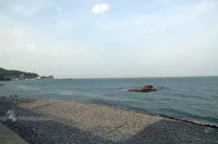 Dancing Whale Pension