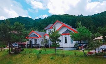 Pyeongchang Neunkotsae Pension