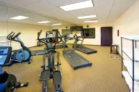 Holiday Inn Express & Suites WILLCOX by IHG - Gym