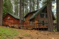 Woodland Escape - Cute Little Cabin in the Woods!