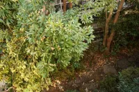 Seogwipo Pyoseon Mansion B (New Opening) Các khách sạn gần Jeju Herb Dongsan