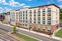 Hampton Inn by Hilton Blue Ridge - 2-Star