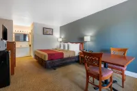 Econo Lodge Airport - RJ Stadium Hotel a Tampa