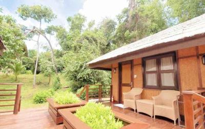 庭 クラブ パラダイス リゾート パラワンの写真