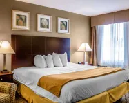 Quality Inn Waterbury Hotels in Waterbury