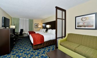 Comfort Inn & Suites Near Universal Orlando Resort-Convention Ctr