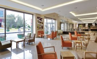 Ibis Amman