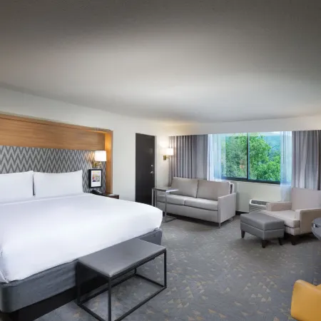 Holiday Inn ASHEVILLE EAST-BLUE RIDGE PKWY by IHG