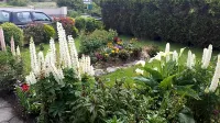 Riverwalk House B&B - parking