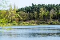 Waldhotel Schipp-Hummert Hotel a Neuenkirchen