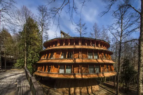 Huilo Huilo Reino Fungi Hotel di Panguipulli