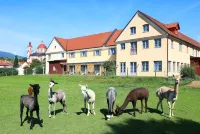 Jufa Hotel Pöllau Weiz 호텔