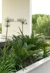 Eco Green Residences & Suites - Mountain view