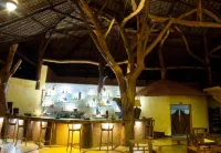 Ravintsara Wellness Hotel - bar