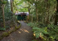 Springbrook Lyrebird Retreat - Alojamientos