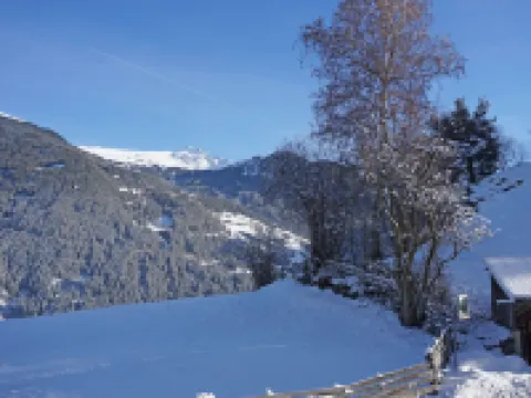 Walzthöni Hotels in Gemeinde Wenns