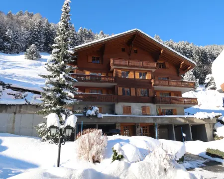 La Tour d'Antheme Hotels in Monthey