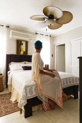 New Kingston Guest Apartment VII Hotel di Silver Hill