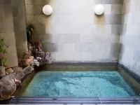 Tekkosen Honkan - Hot Springs