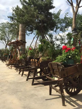 Qingcheng Ruyi Hotel Отели рядом с достопримечательностью «Qingcheng Museum»