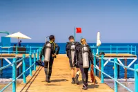 Akassia Swiss Resort Hotels near Novotel Coral Reef