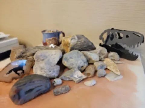 ชัวร์สเตย์ บาย เบสท์เวสเทิร์น เกลนไดฟ์ แม่น้ำเยลโลว์สโตน