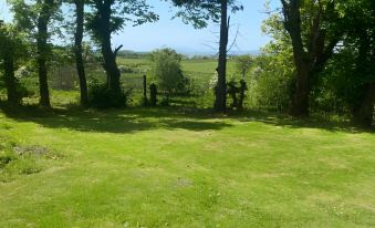 a grassy field with a wooden bench in the middle , surrounded by trees and a view of the ocean at Fox House Thirdpart Farm