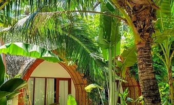 3. 트로피컬 템플 ..