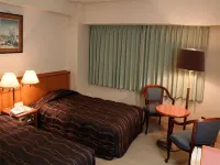 Tokyo Daiichi Hotel Shinshirakawa Hotels in Tanagura