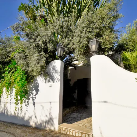Le Palme
