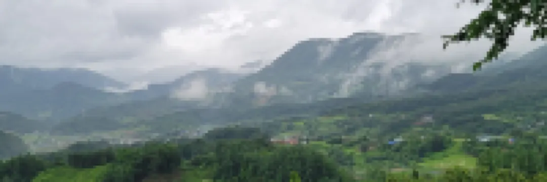 Danyang Pinwheel Chiyu Village Pension