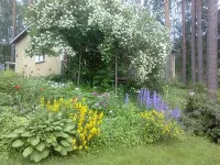 Simola Hotels in Savonlinna