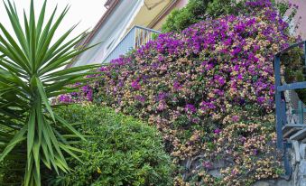Casa Bianca a Bogliasco by Wonderful Italy