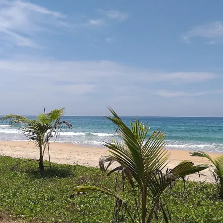 Majestic Beach Comforts