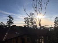 Backwoods B&B Mall Road Shimla - 3 stelle