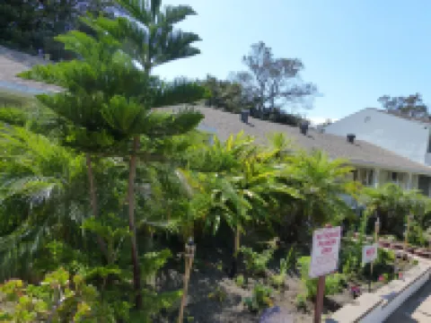 Oceana Boutique Hotel