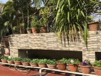 Hotel Capella Hotels in Kolkata