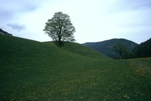 歐本庫培霍夫公寓