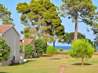 Mini Villa 2/4 Personnes