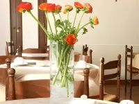 Hotel du Centre Hotels in Donzere