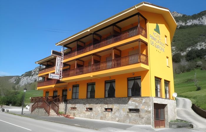 Hotel Principado de Europa