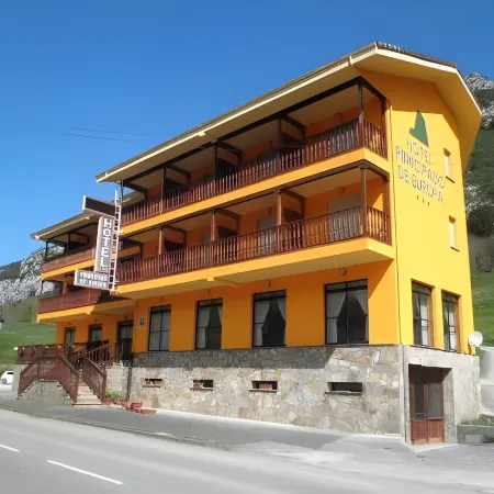 Hotel Principado de Europa