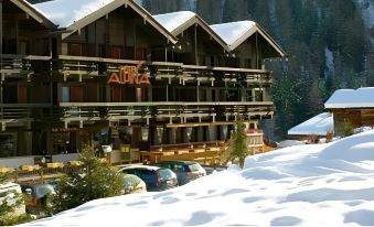Hotel Alpina - Swiss Ski & Bike Lodge Grimentz