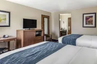 Comfort Inn Midtown
